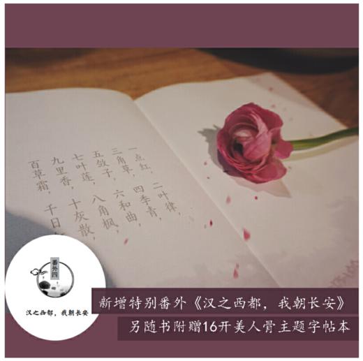 一生一世美人骨 商品图3