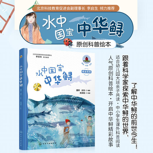 水中国宝中华鲟 商品图0