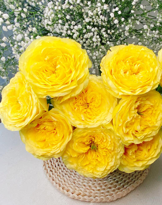 奇迹女神玫瑰【因为有你 我愿永远站在波涛之巅】简小姐精选 新品 玫瑰奇迹女神9+1枝(防花损）2件包邮 下单后5天内发货 商品图2