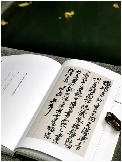 《鹤园藏札：吴昌硕、郑孝胥卷》《鹤园藏札：俞樾卷》，精装，16开，全2册 商品图3