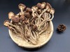 茶树菇300g 煲汤·炖煮 做菜 味道清香（注：每一批的大小、颜色会有差别哈） 商品缩略图0
