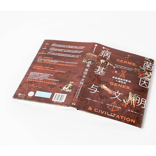 病菌 基因与文明 传染病如何影响人类社会 戴维P克拉克 著  刷新世界观历史观传染病对人类基因和社会的塑造 中信 商品图2