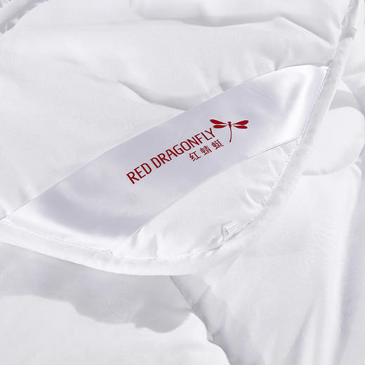 红蜻蜓时尚羽丝被（200*230cm*1） 商品图3