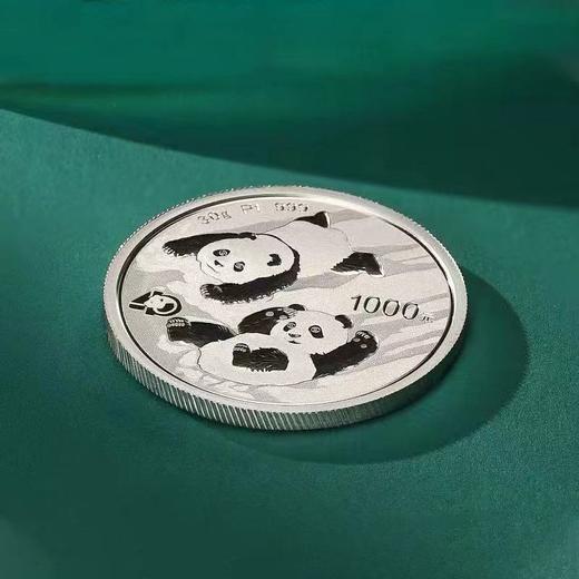 2022年熊猫纪念铂币 双龙头 商品图4