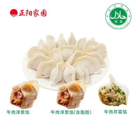 正阳自制饺子450±10g 商品图0