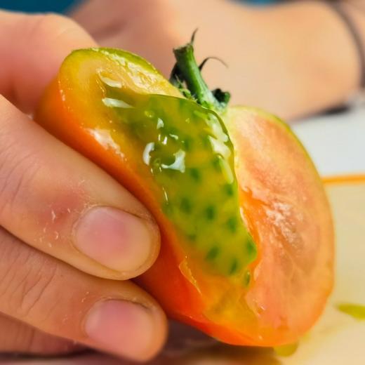 阳柿子草莓水果番茄3/4.5斤  （48-72小时发货  下雨延迟发货） 商品图8