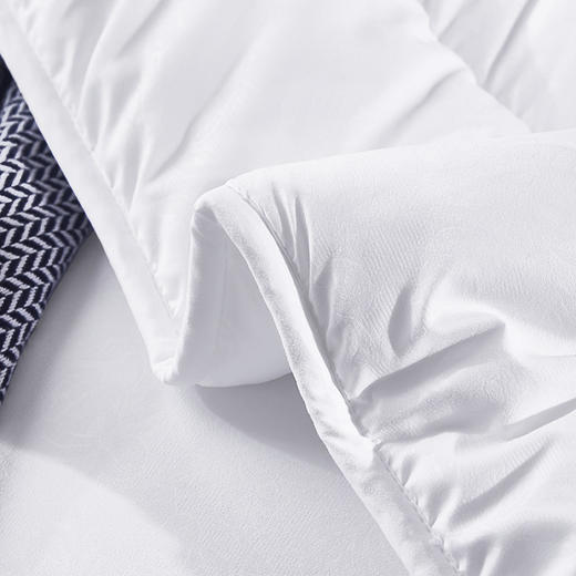 红蜻蜓时尚羽丝被（200*230cm*1） 商品图2