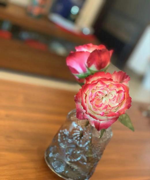 【拍市玫瑰】苹果酱 10枝/扎  约60公分 商品图3