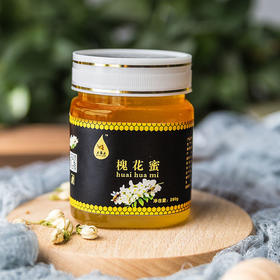 甘肃白银今蜜源  【洋槐蜜 280g*2瓶】