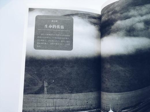 正版 次第花开 2017修订版 希阿荣博堪布的书透过佛法看世界 樊登 藏人精神保持愉悦的秘密  人文哲学宗教智慧佛教 商品图3