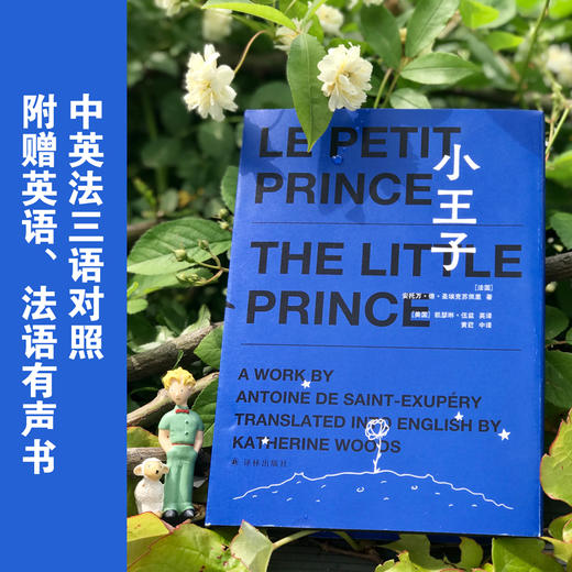 小王子Le Petit Prince 三语对照版，附赠英语、法语有声书，南京大学教授黄荭译本，毕飞宇作序推荐 商品图0
