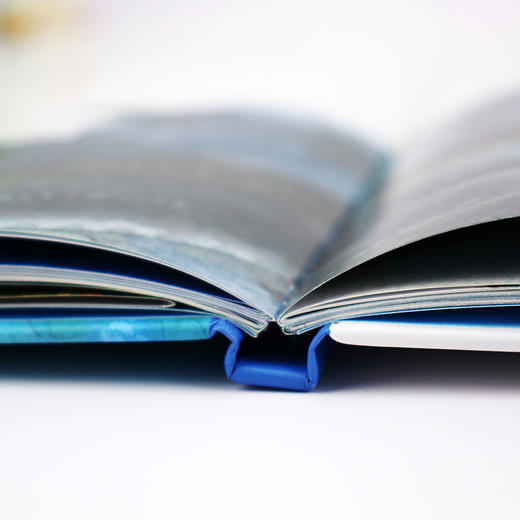 水中国宝中华鲟 商品图6