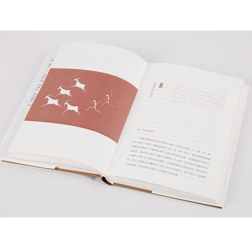 进击的智人 河森堡 著 我在国博讲故事 生动有趣的人类学科普人类简史 中国人的进化史 中信出版 正版 商品图3