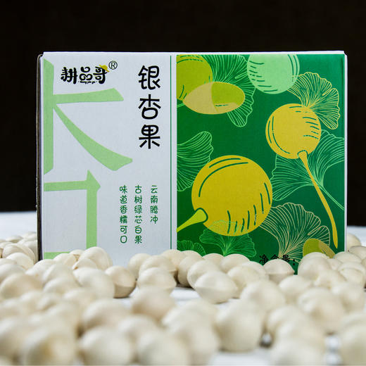 腾冲古树白果 | 2025年新鲜古树白果 每年限量一次的馈赠 清甜香糯 果型饱满 吃法多样 好地产好果 云南腾冲特有品种 商品图5