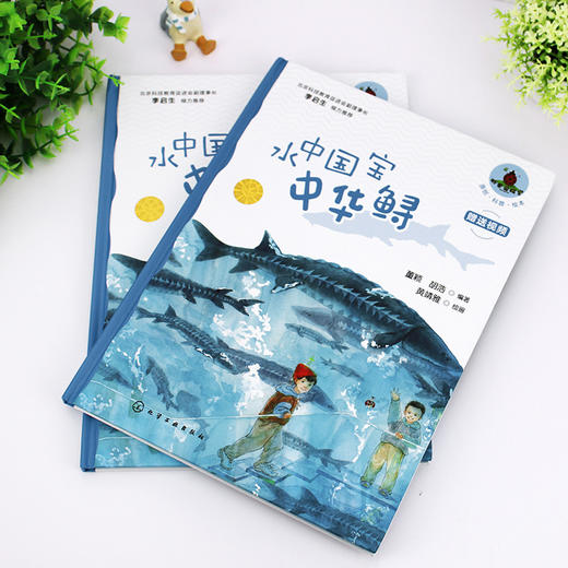 水中国宝中华鲟 商品图3