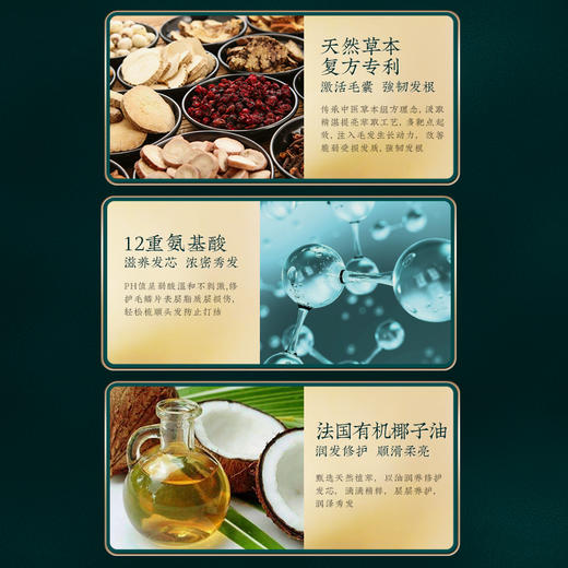 【小植补贴】【拍一发二】敷本生姜精粹柔顺护发乳 商品图7