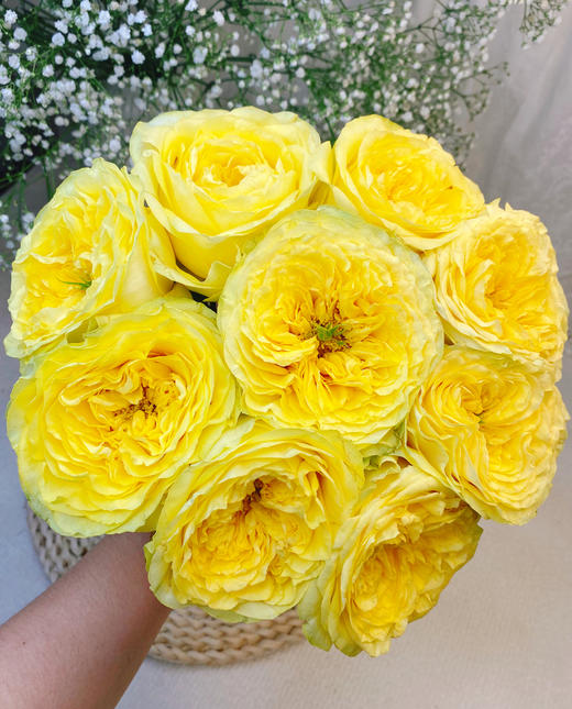 奇迹女神玫瑰【因为有你 我愿永远站在波涛之巅】简小姐精选 新品 玫瑰奇迹女神9+1枝(防花损）2件包邮 下单后5天内发货 商品图3