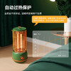 大宇远红碳素取暖器DWH-BH03M 商品缩略图4
