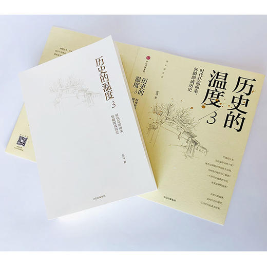 历史的温度3 张玮 著 六神磊磊、罗振宇、马勇、徐达内、严锋、张伟等力荐 历史书上的一段话、一个名字甚一张图 商品图2