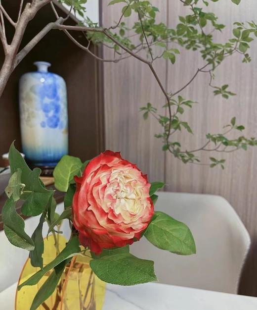 【拍市玫瑰】苹果酱 10枝/扎  约60公分 商品图2