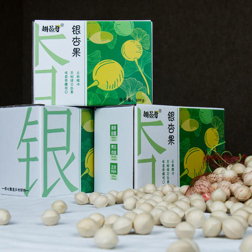 云南腾冲新鲜老品种带壳糯白果银杏果 商品图0