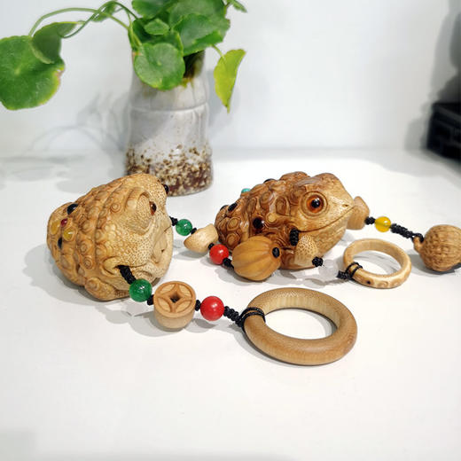 精工金蟾6000 商品图1