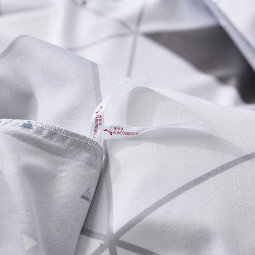 红蜻蜓生态棉四件套-斑马格 商品图3