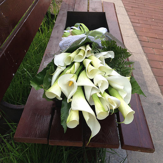 碧海蓝天马蹄莲礼盒二选一 商品图1