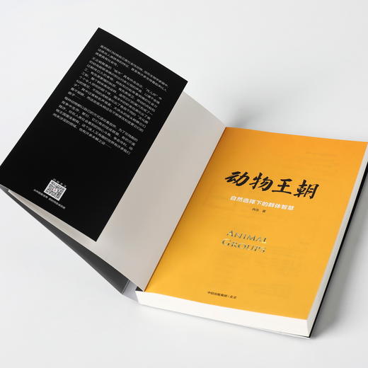 动物王朝 自然选择下的群体智慧 冉浩 著  动物群体行为 动物世界 博物君张辰亮 大自然智慧  中信出版社 商品图2