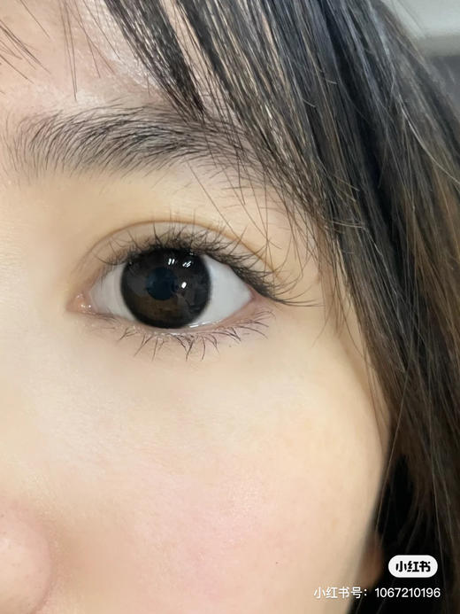 缺货100---300度缺】年抛 LEGAL LOLI 乌云子14.2 着色13.4 商品图4