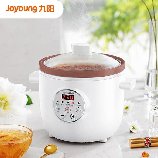 【臻选家电】九阳电炖锅DGD1505AM 商品图0