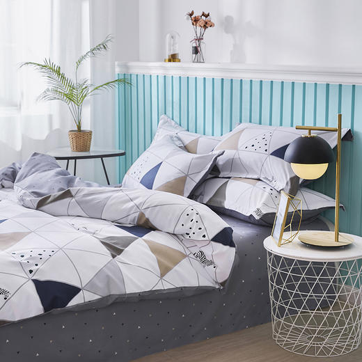 红蜻蜓生态棉四件套-斑马格 商品图1