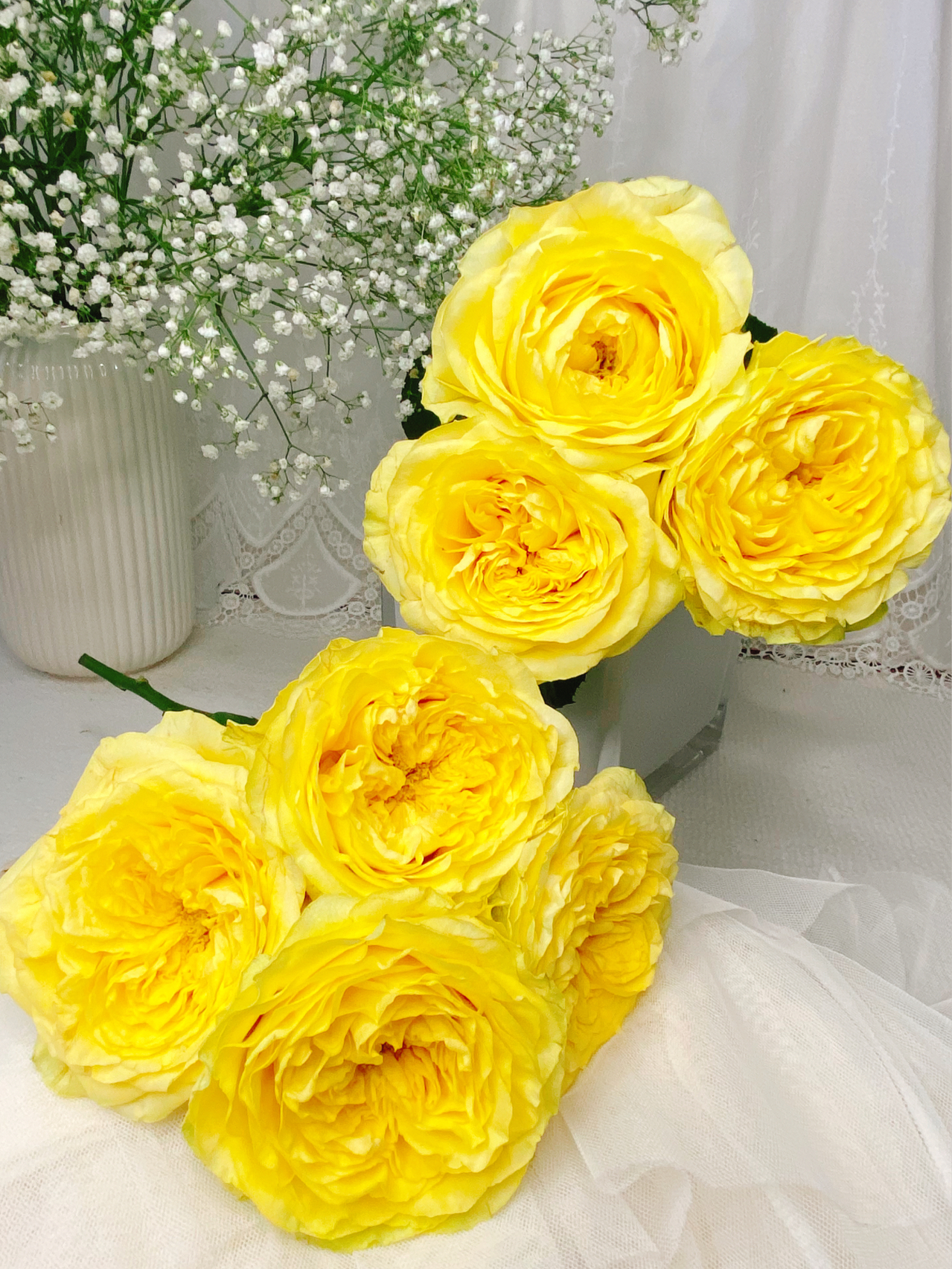 奇迹女神玫瑰【因为有你 我愿永远站在波涛之巅】简小姐精选 新品 玫瑰奇迹女神9+1枝(防花损）2件包邮 下单后5天内发货