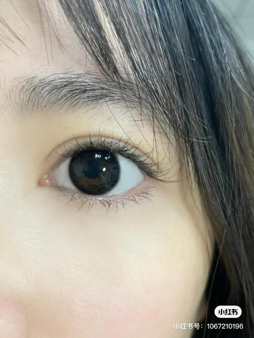 缺货100---300度缺】年抛 LEGAL LOLI 乌云子14.2 着色13.4 商品图3