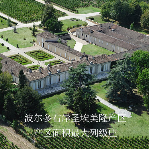 【原瓶进口】芳宝酒庄红葡萄酒2018年 圣埃美隆列级庄14.5%vol  750ml法国原瓶进口 商品图3