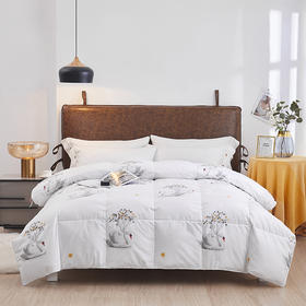 红蜻蜓羽之美经典羽绒被（200*230cm*1）