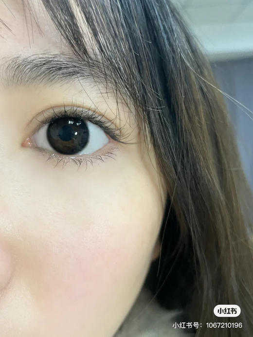 缺货100---300度缺】年抛 LEGAL LOLI 乌云子14.2 着色13.4 商品图5