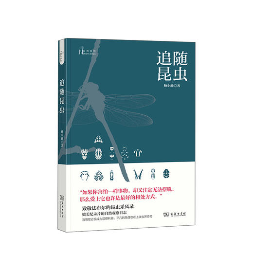 追随昆虫 杨小峰 著 致敬昆虫记的观察随笔 生物世界昆虫百科科普读物社科书籍 商品图1