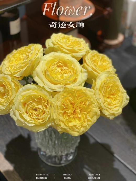 奇迹女神玫瑰【因为有你 我愿永远站在波涛之巅】简小姐精选 新品 玫瑰奇迹女神9+1枝(防花损）2件包邮 下单后5天内发货 商品图4