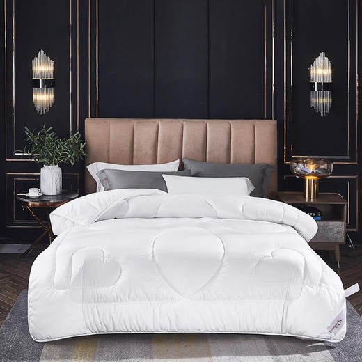 红蜻蜓时尚羽丝被（200*230cm*1） 商品图0