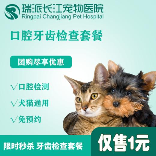 【超值体检】犬猫通用口腔牙齿检查套餐 商品图0