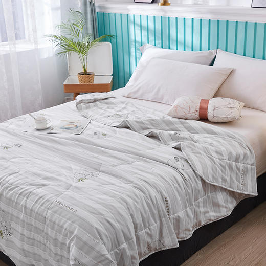 红蜻蜓速干被-横条（200*230cm*1） 商品图1