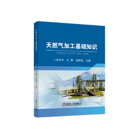 天然气加工基础知识/辛志玲，王维，赵贵征