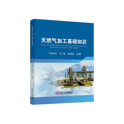 天然气加工基础知识/辛志玲，王维，赵贵征 商品图0