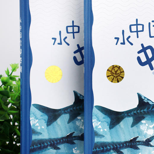 水中国宝中华鲟 商品图4