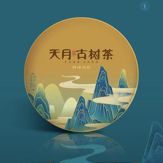 群峰造极 古树茶 357g 商品图0