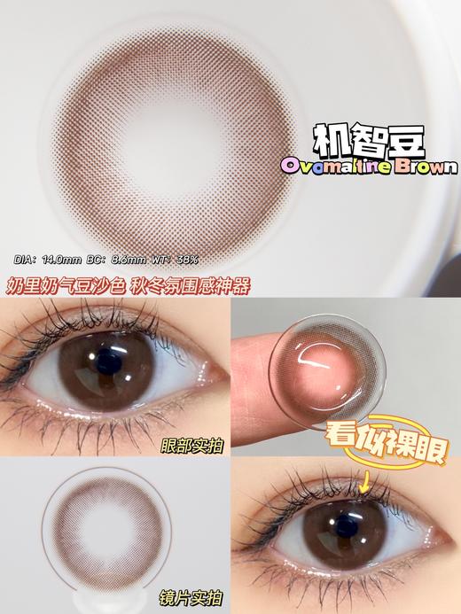 【小红书推荐款】lunarcon  机智豆，年抛/直径14.0/着色13.3，138/一副，238/两副，268/三副 商品图8