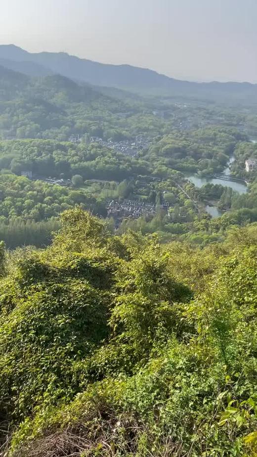 创建专栏周五看消息提醒 商品图0