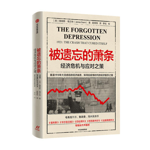 被遗忘的萧条 经济危机与应对之策 詹姆斯 格兰特 著 美国大萧条 华尔街股灾 经济危机 后疫情时代 经济复苏 商品图4