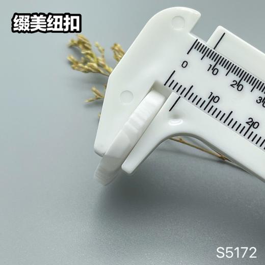 S5172(整包购买) 商品图10